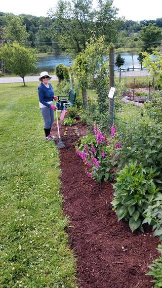 Making Progress in our Pollinator Garden