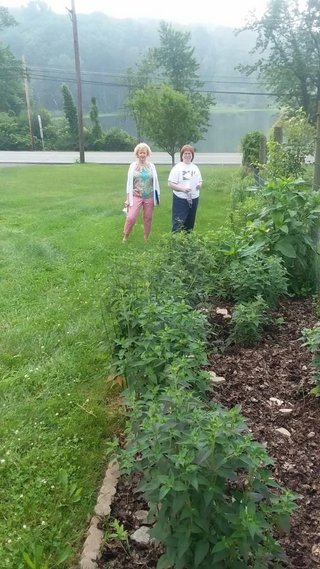 Diane Arthur and Jan Klusza Pollinator garden June 2023