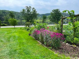 Pollinator Garden in bloom July 2023