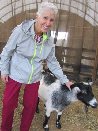 Dot petting a goat