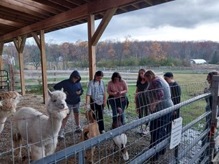 Our group visiting a turkey, alpacas and a goat