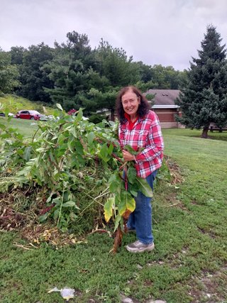 edit-20230829_104504