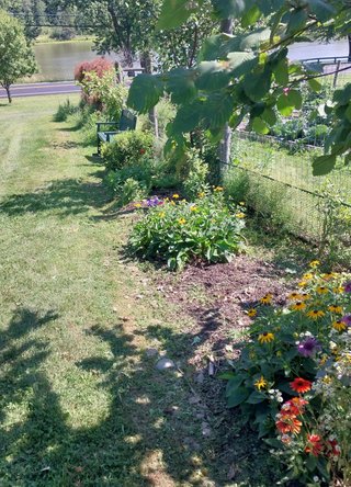 Pollinator Garden